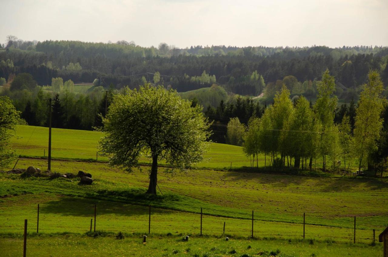 Domek Rospuda Zewnętrze zdjęcie